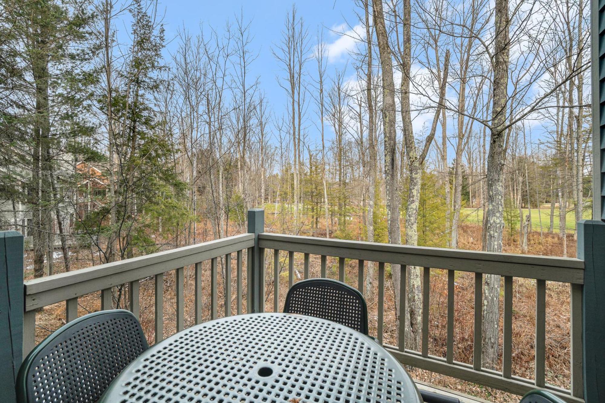 Wintergreen Condos Thompsonville Ruang foto