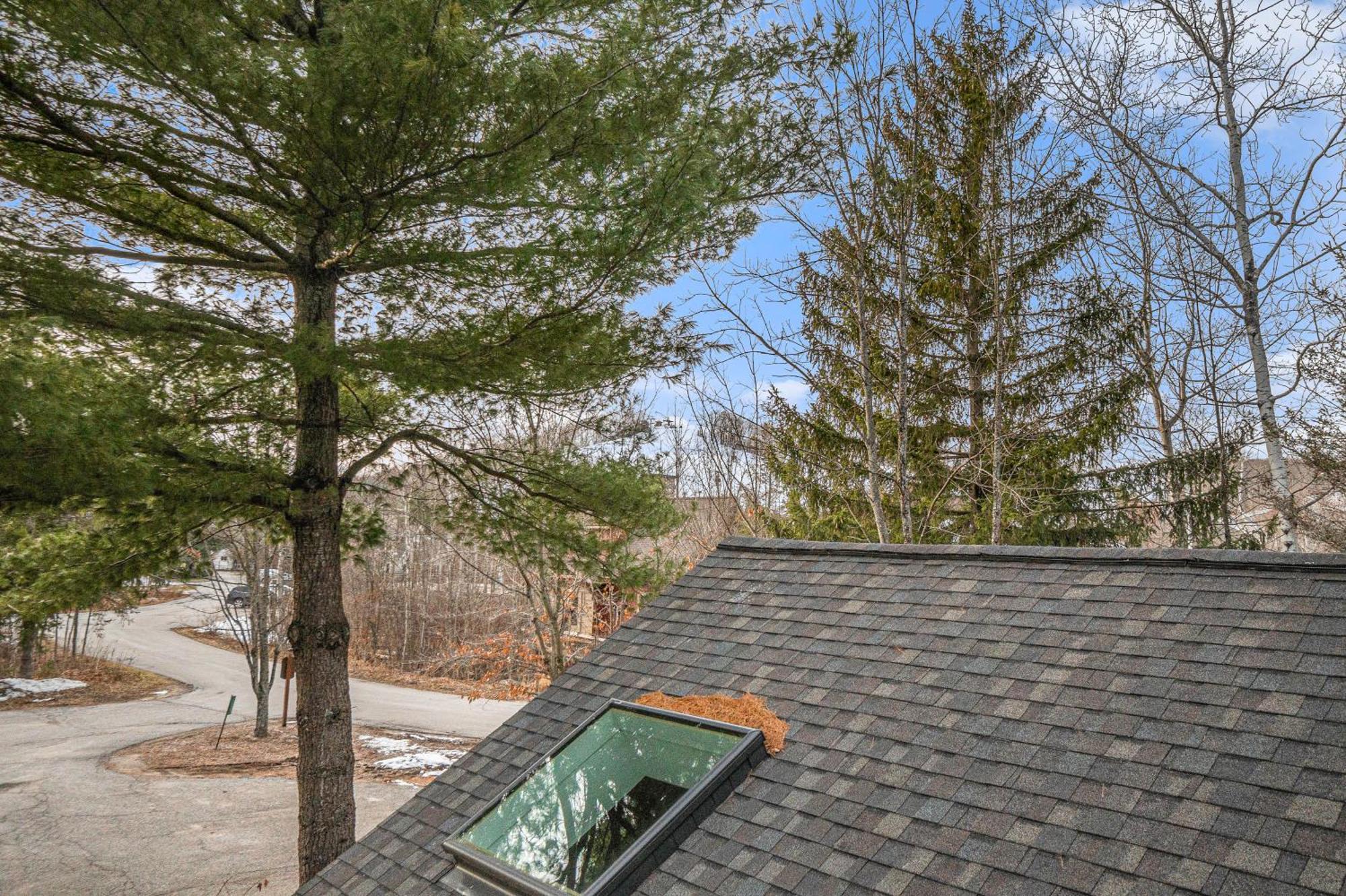 Wintergreen Condos Thompsonville Ruang foto