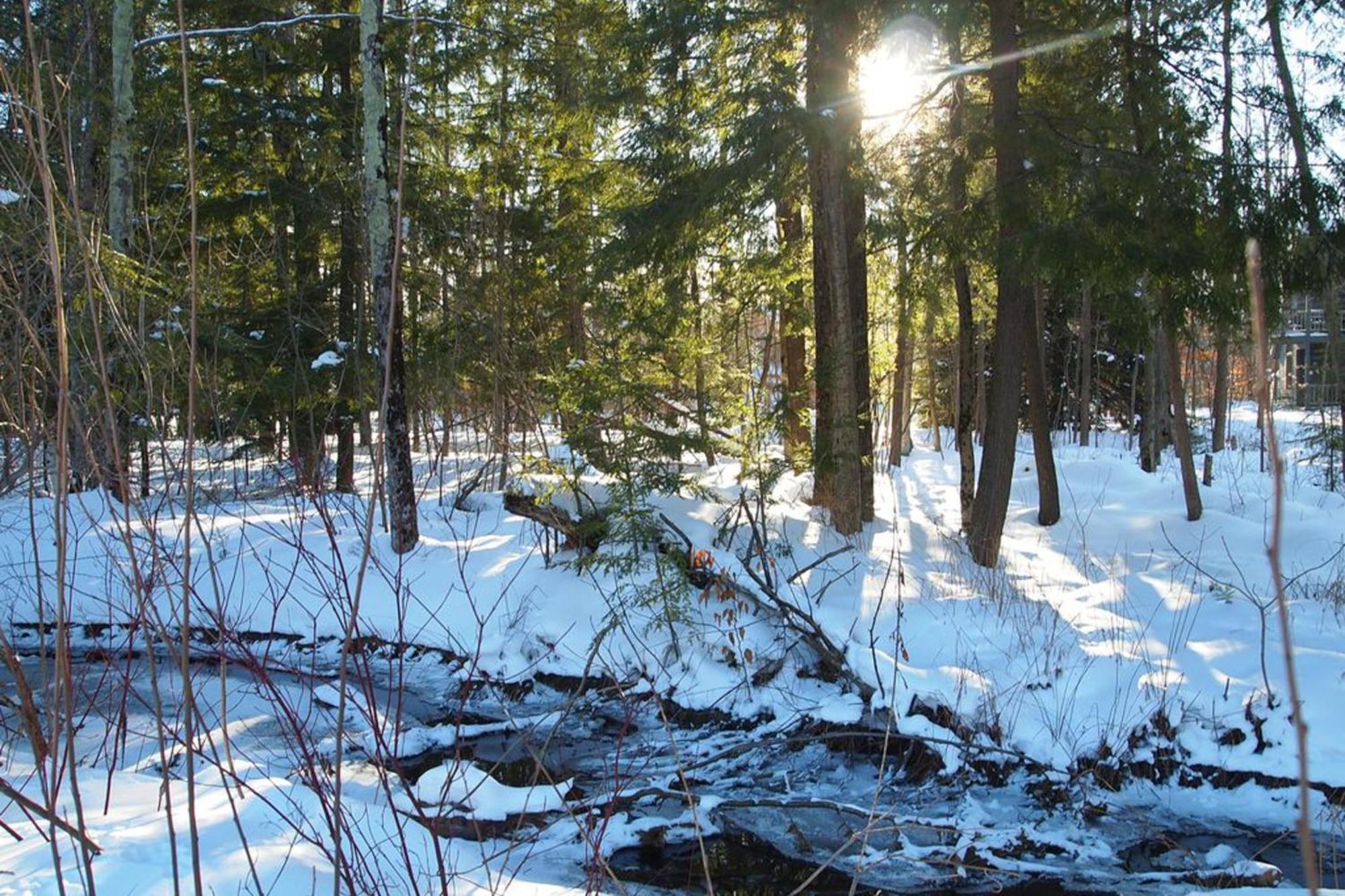 Wintergreen Condos Thompsonville Ruang foto