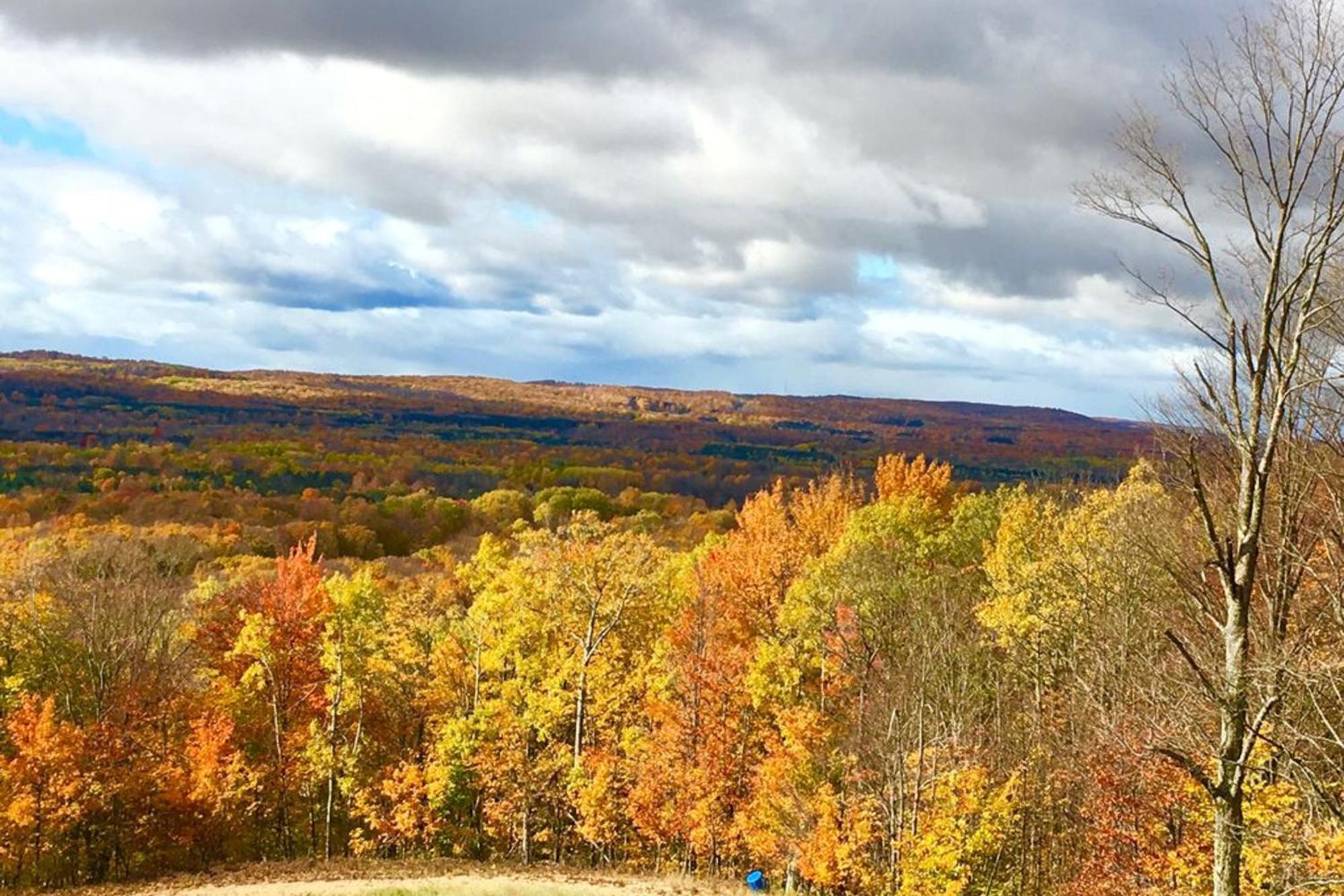 Wintergreen Condos Thompsonville Ruang foto